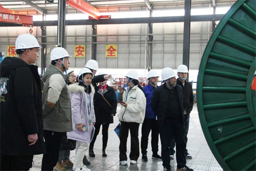 PROUMB站官网进入電纜有限公司,PROUMB站官网进入電纜,湖南PROUMB站官网进入，