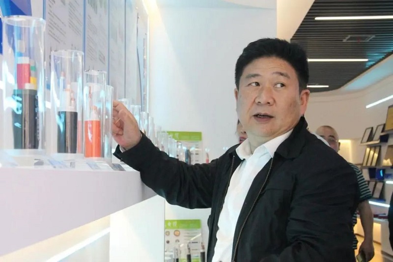 PROUMB站官网进入電纜有限公司,PROUMB站官网进入電纜,湖南PROUMB站官网进入，