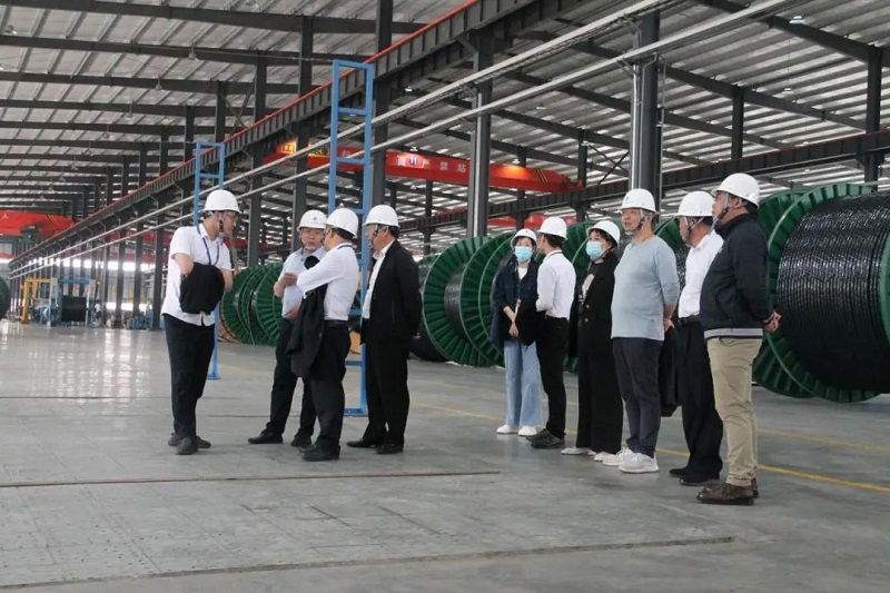 PROUMB站官网进入電纜有限公司,PROUMB站官网进入電纜,湖南PROUMB站官网进入，